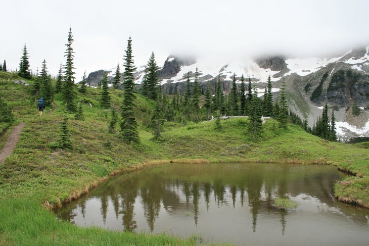 Meadows of Upper Lyman None
