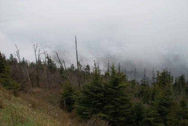 Misty Views None