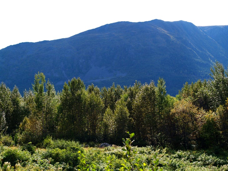 Mont Albert Vista None