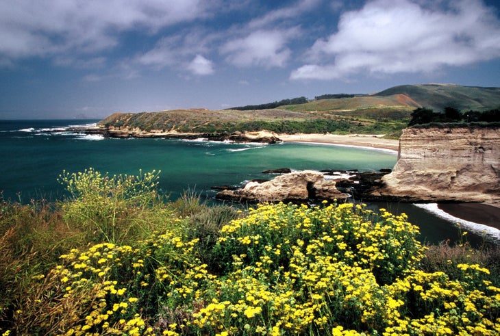 Montana de Oro State Beach Landscape.jpg None