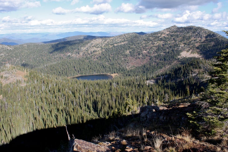 Moose Lake None