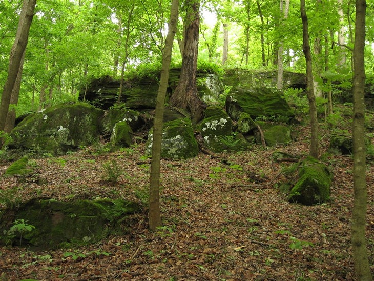 Mossy Rocks None