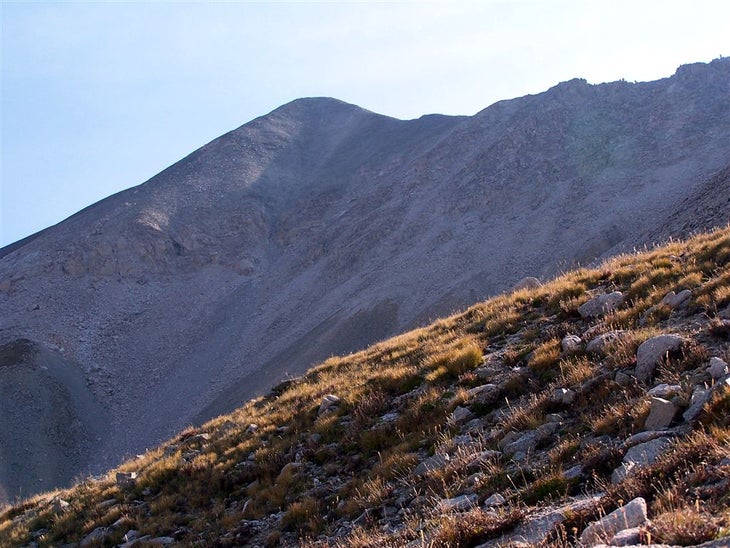 Mount Antero None