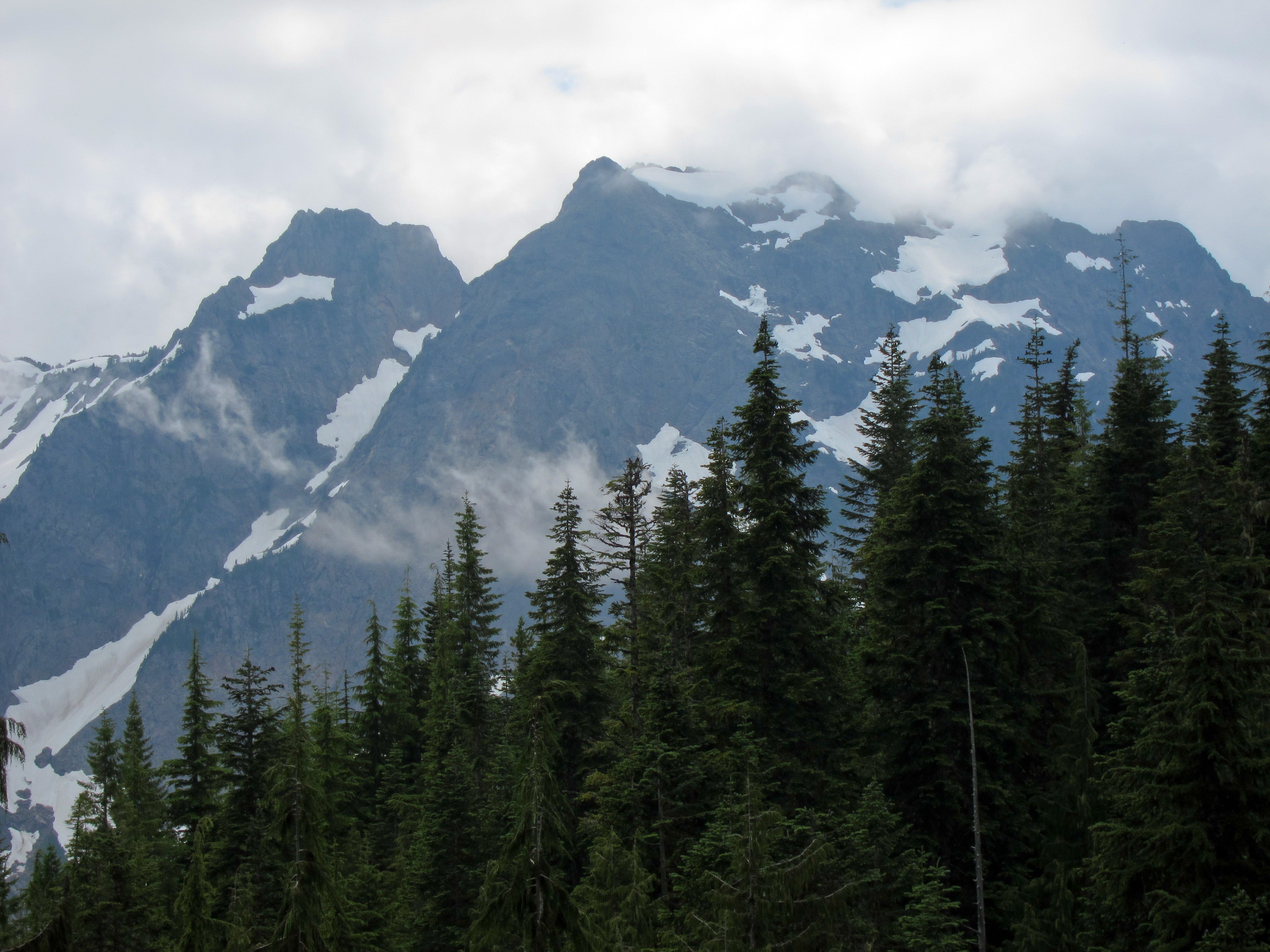 "View from Mt Dickerman trail"