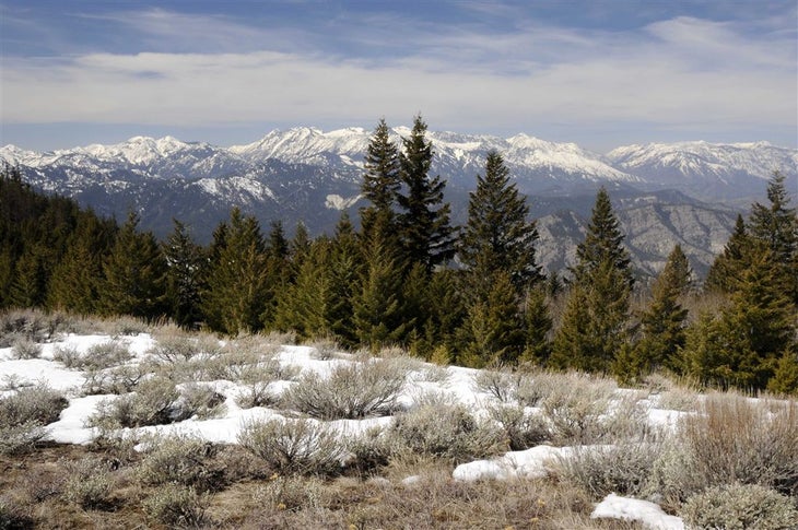 Mountain Views None