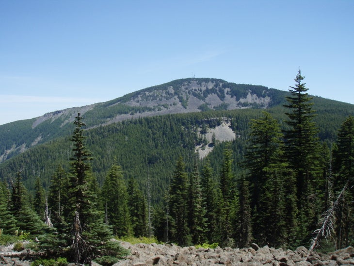 Mt. Defiance view None