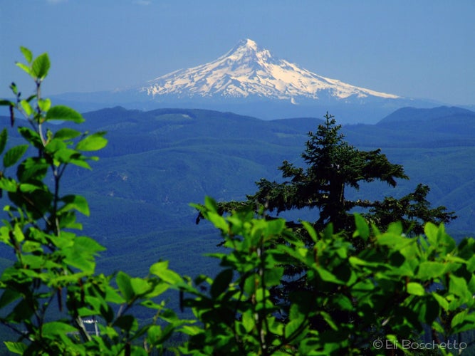Mt. Hood View None