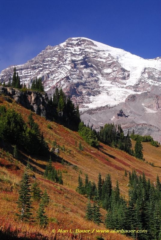 Mt. Rainier rises behind Van Trump Park None