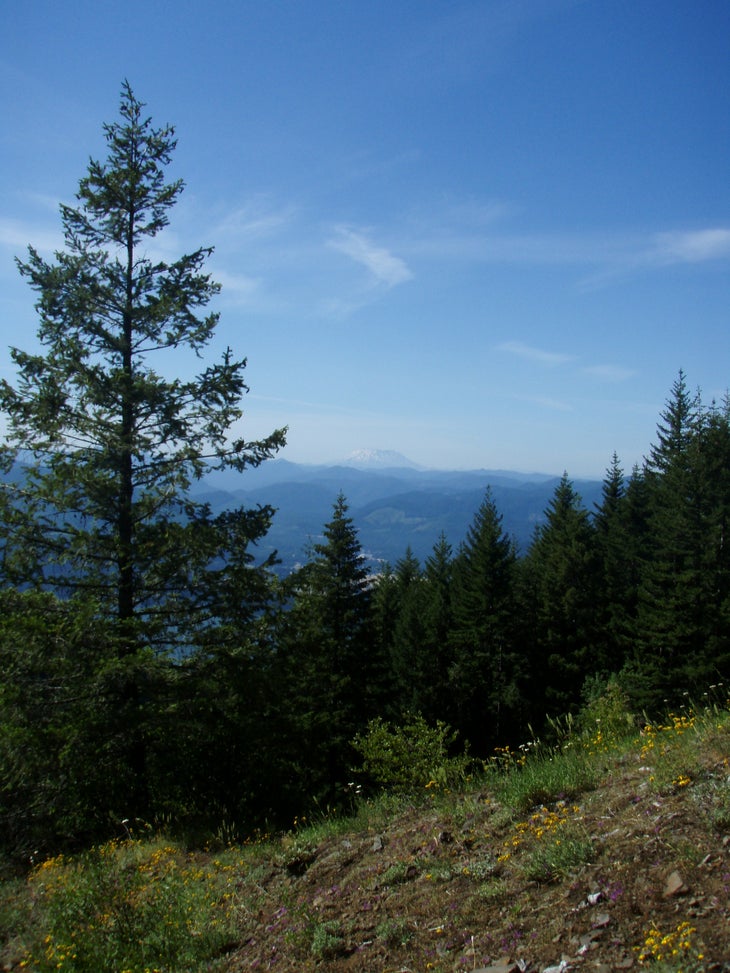 Mt St. Helens view None