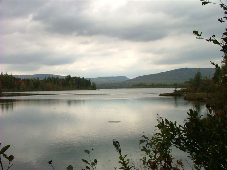 Mud Pond None