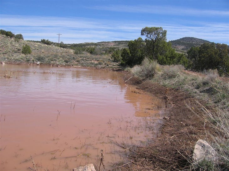 Mud Puddle None