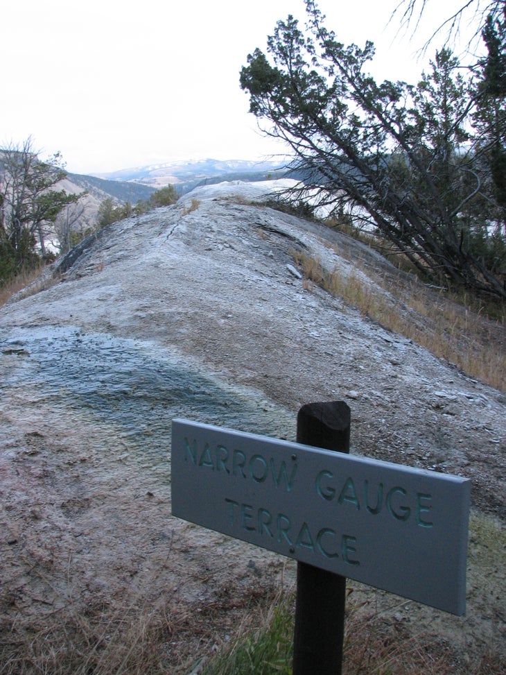 Narrow Gauge Terrace Sign None