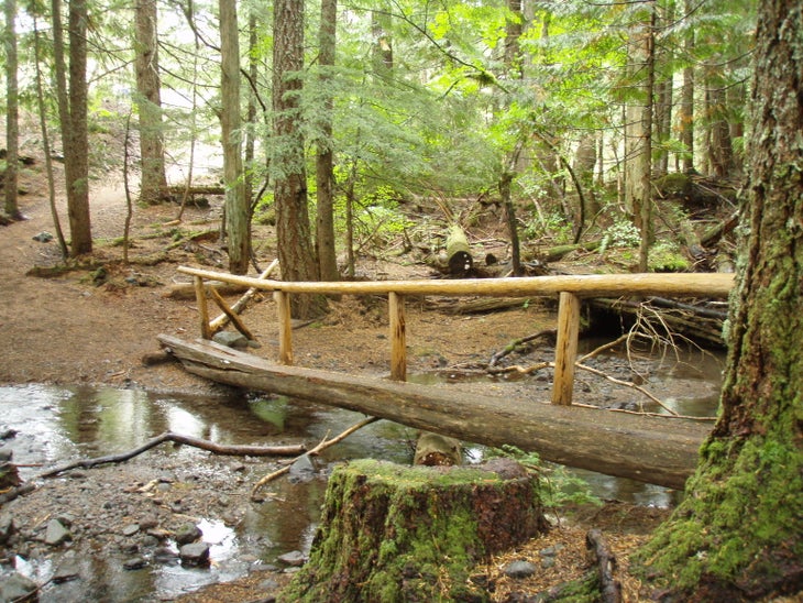 Narrow Log Bridge None