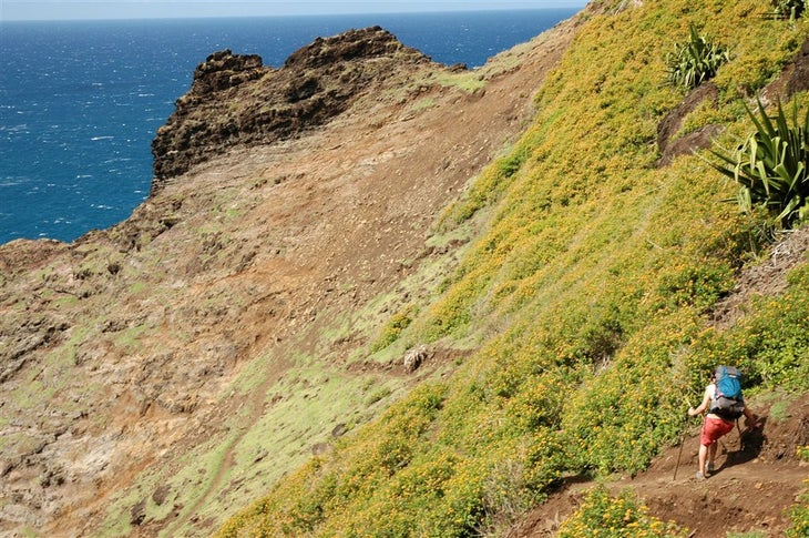 Narrow Trail None