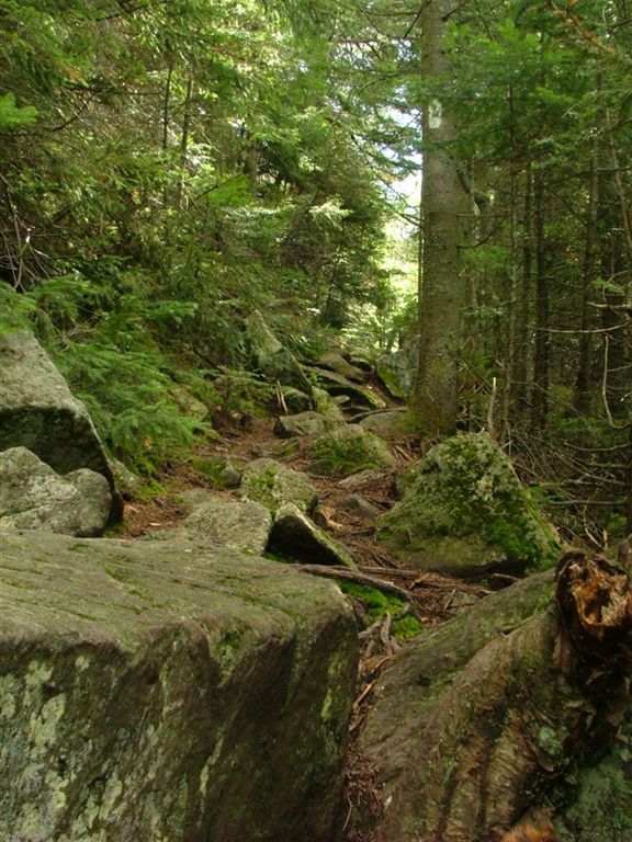 Near Wocket Ledge None