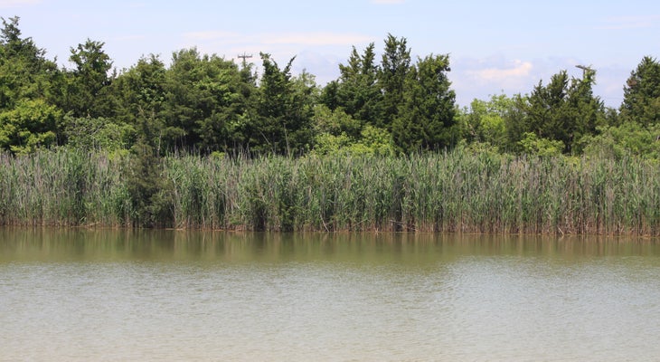 Nike Pond None