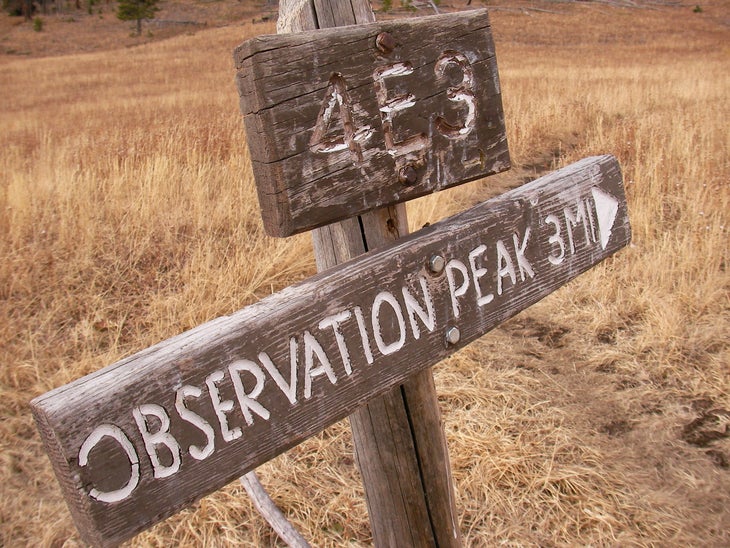 Observation Peak Sign None