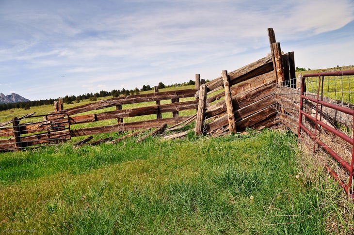 Old Fence None