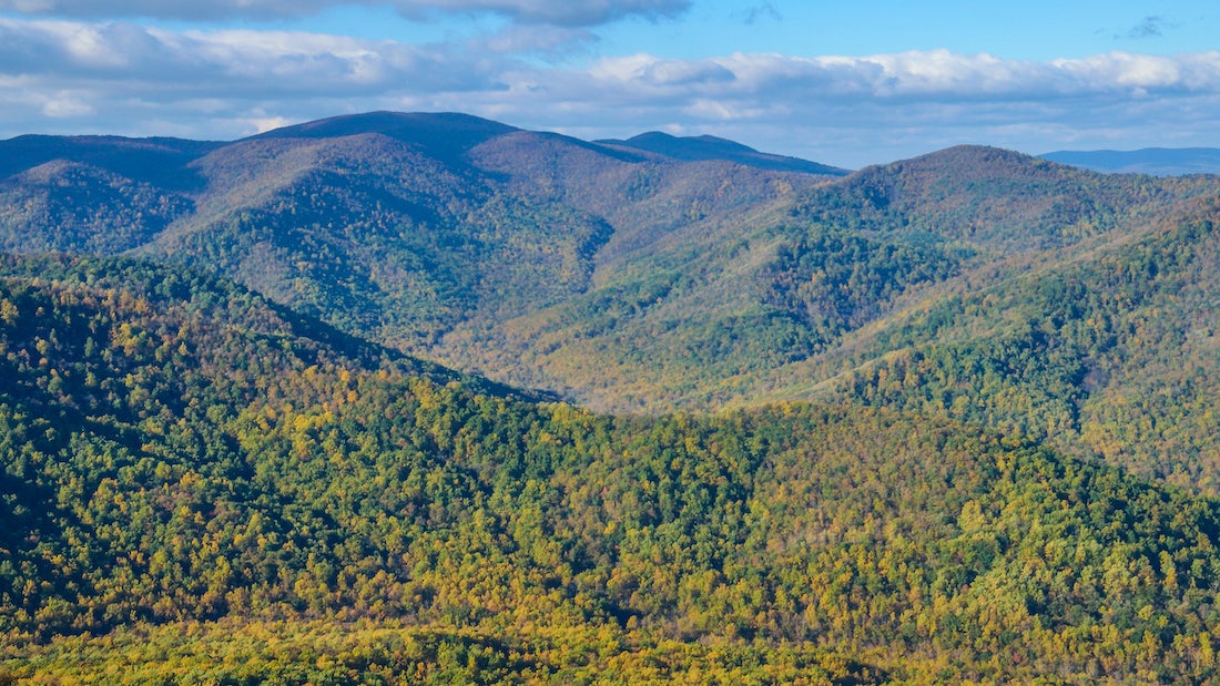 Old Rag Mountain view in Shenandoah, Virginia with yellow and golden orange foliage on forests