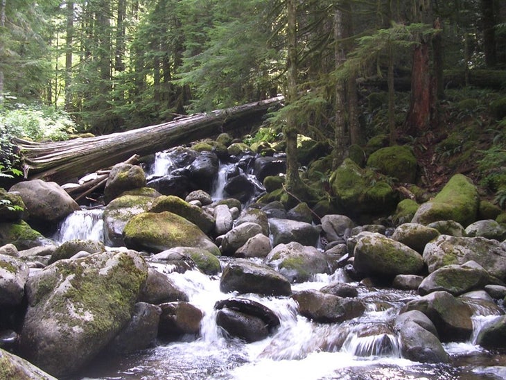 Oneonta Creek None