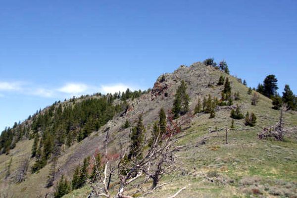Open Ridgeline None