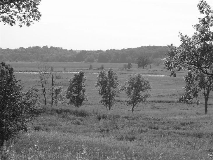 Open Spaces None