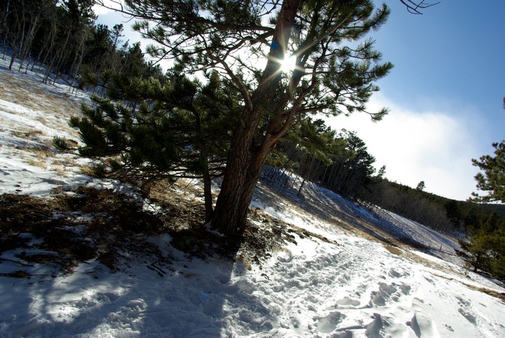 Open Trail None