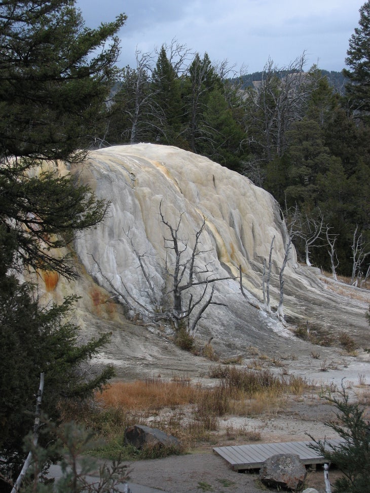 Orange Spring Mound None