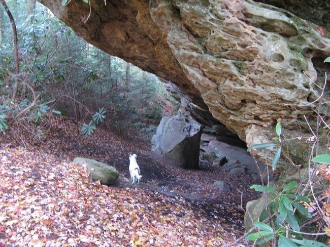 Overhang None