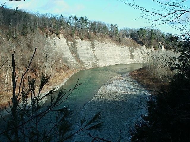 Overlook of the Genesee Gorge None