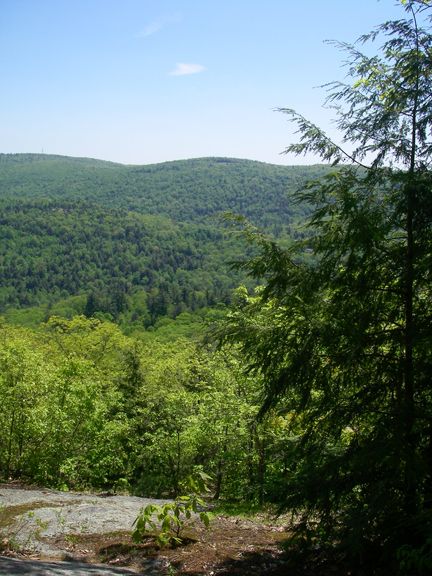 Overlook None