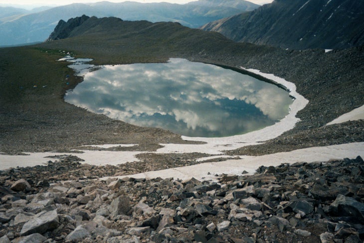 pacific tarn None