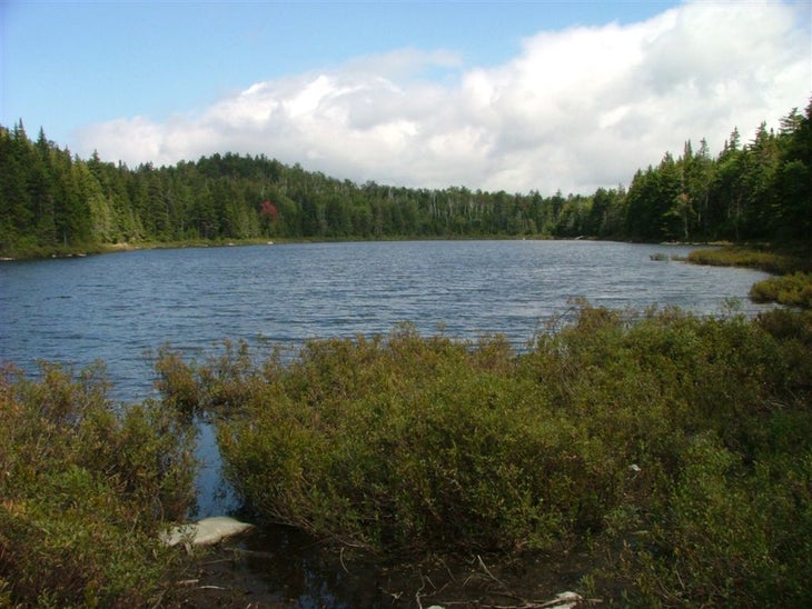 Page Pond None