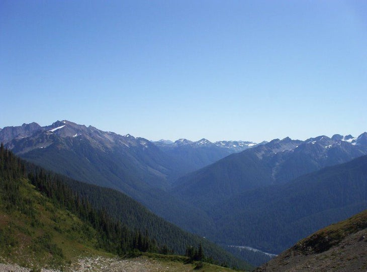 Panorama None