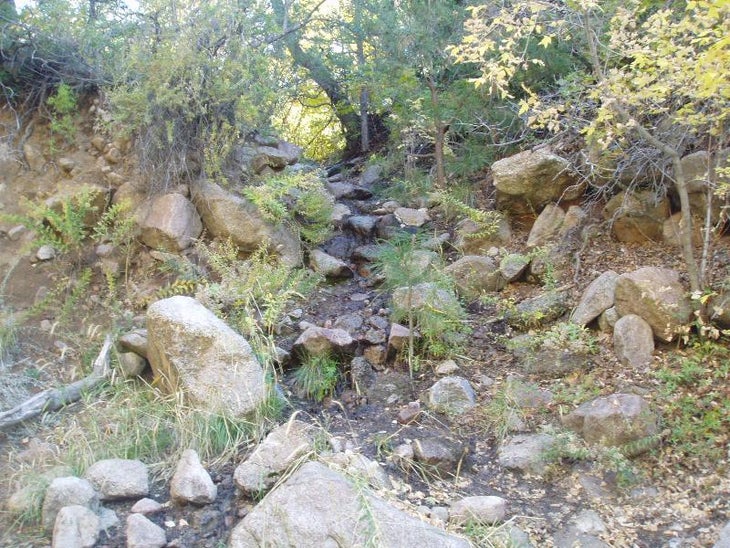 Path out of creek bed None
