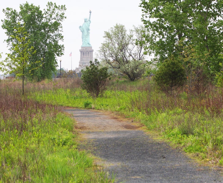 Path through natural area None