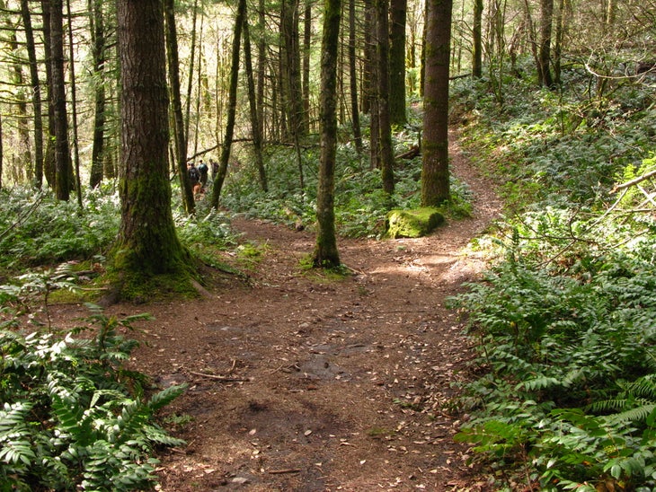PCT Junction None