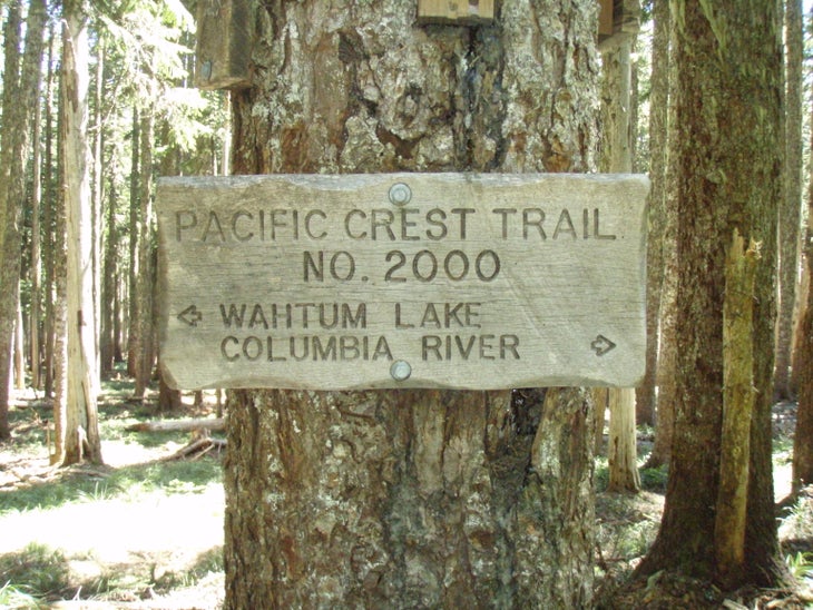 PCT junction None