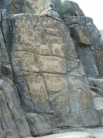 Petroglyphs -- animals None