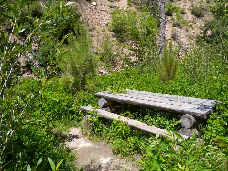 Picnic Areas None