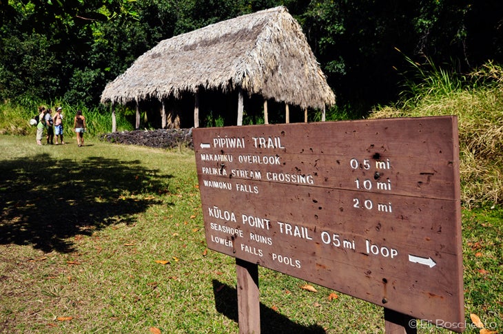 Pipiwai Trailhead None