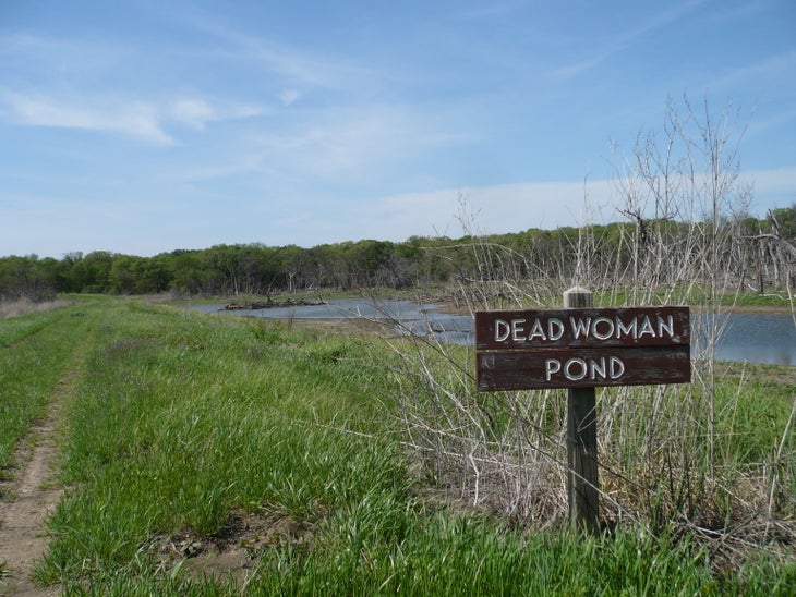 Pond None