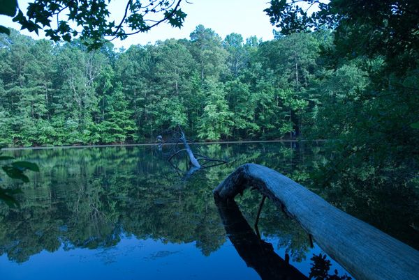 Pond View None