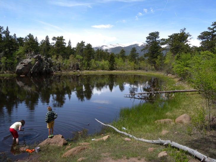 Pond None