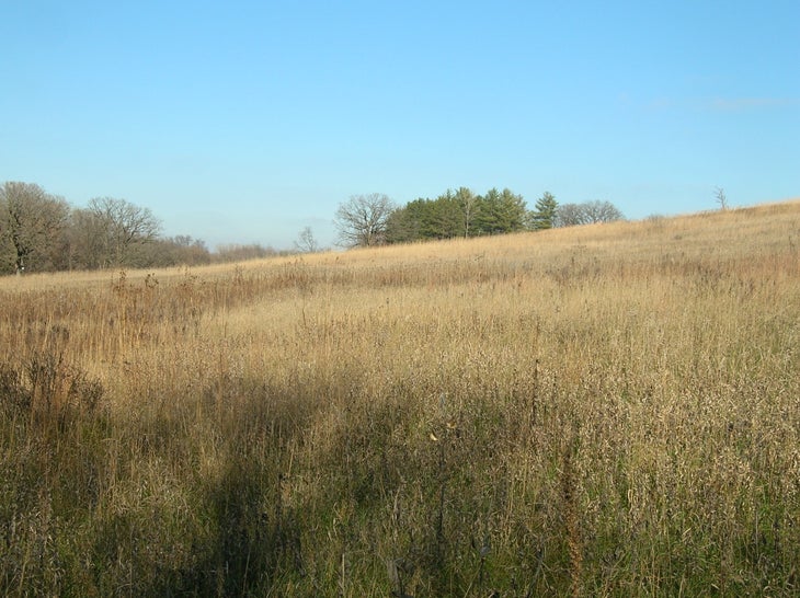 Prairie None