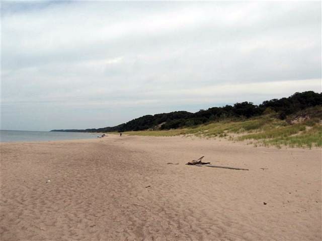 Pristine Beach None