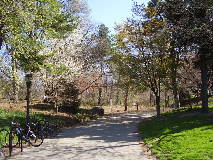 Prospect Park None