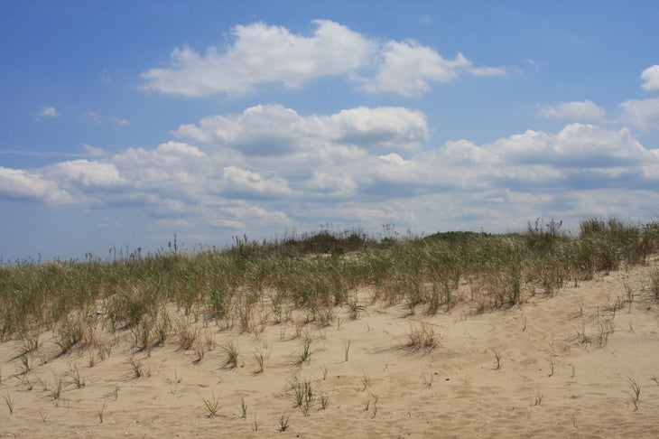 Protected Dunes None
