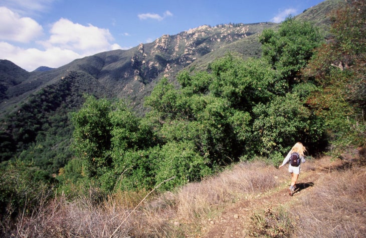 Rattlesnake Canyon None