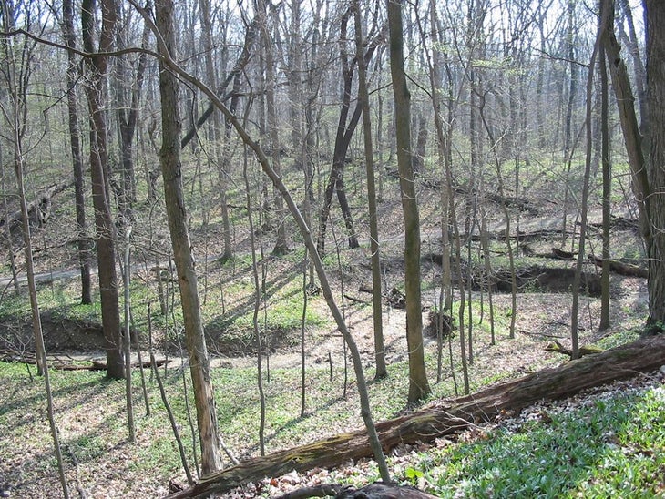 Ravine None